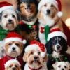 Christmas Dogs Wallpaper